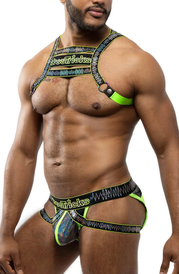ELECTRO HOLOGRAPHIC HARNESS
