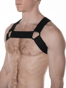 FK SPORT CHEVRON HARNESS