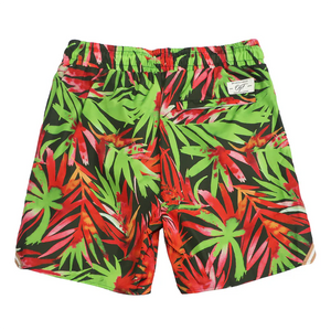 ORIGINAL FABLES SWIM SHORTS -PALM FOREST GREEN