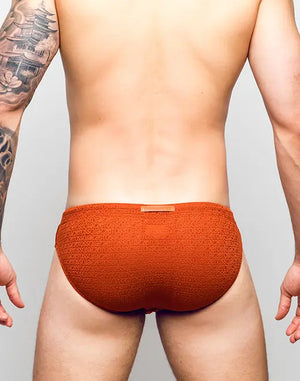 V30 SIGNET SWIM BRIEF