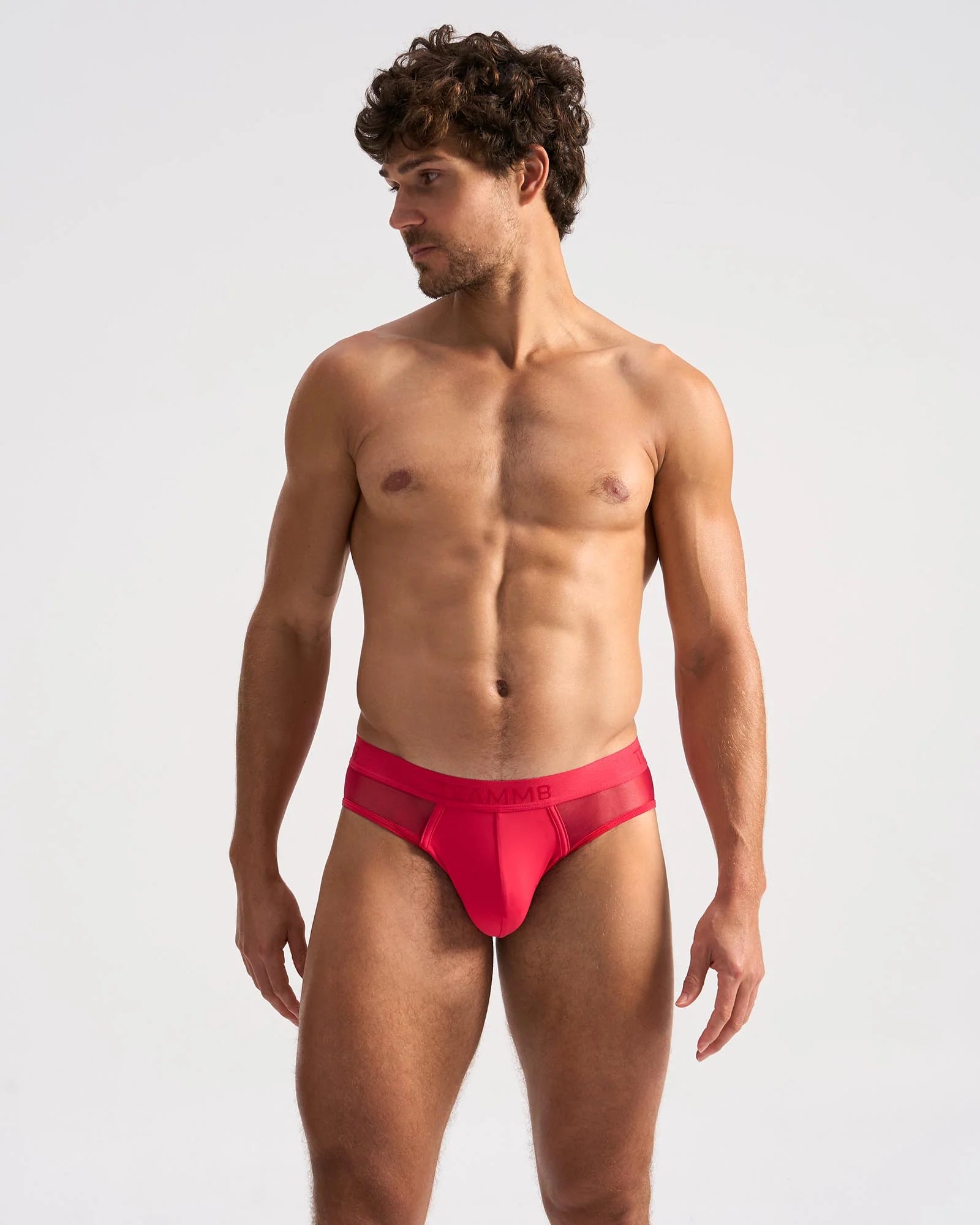 SCORE SHEER BRIEF