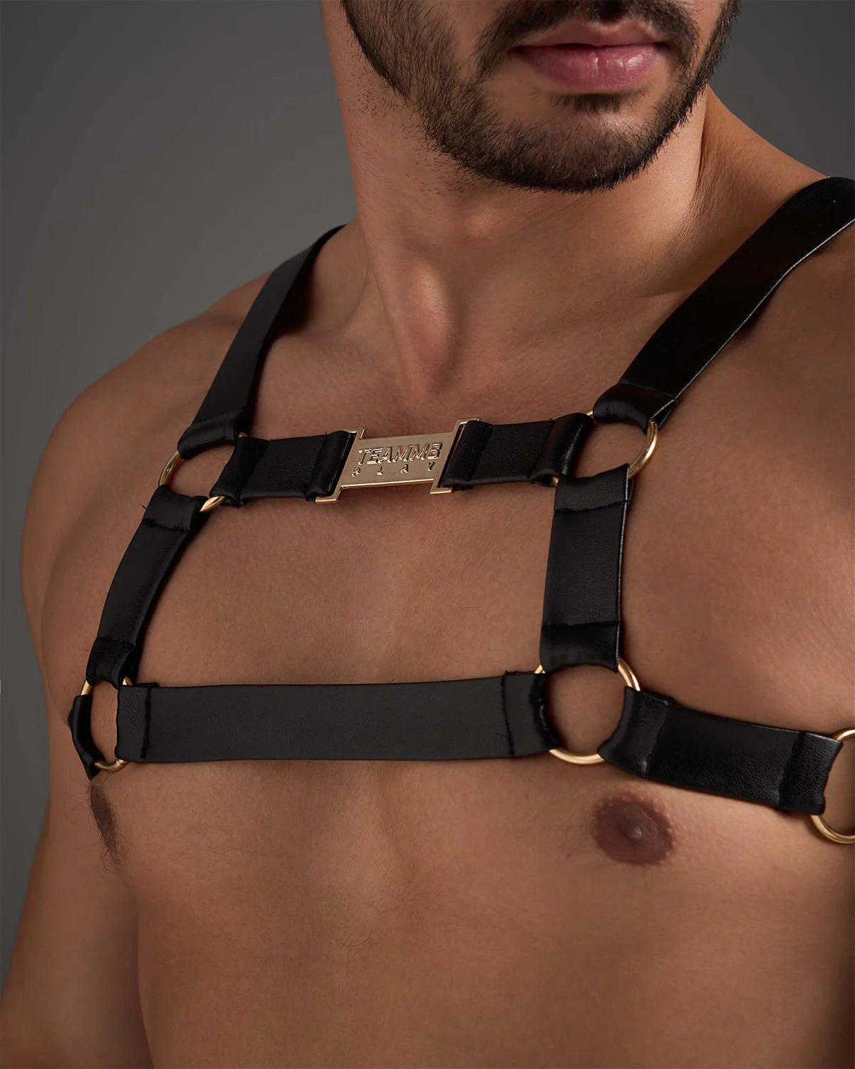 FLEX HARNESS