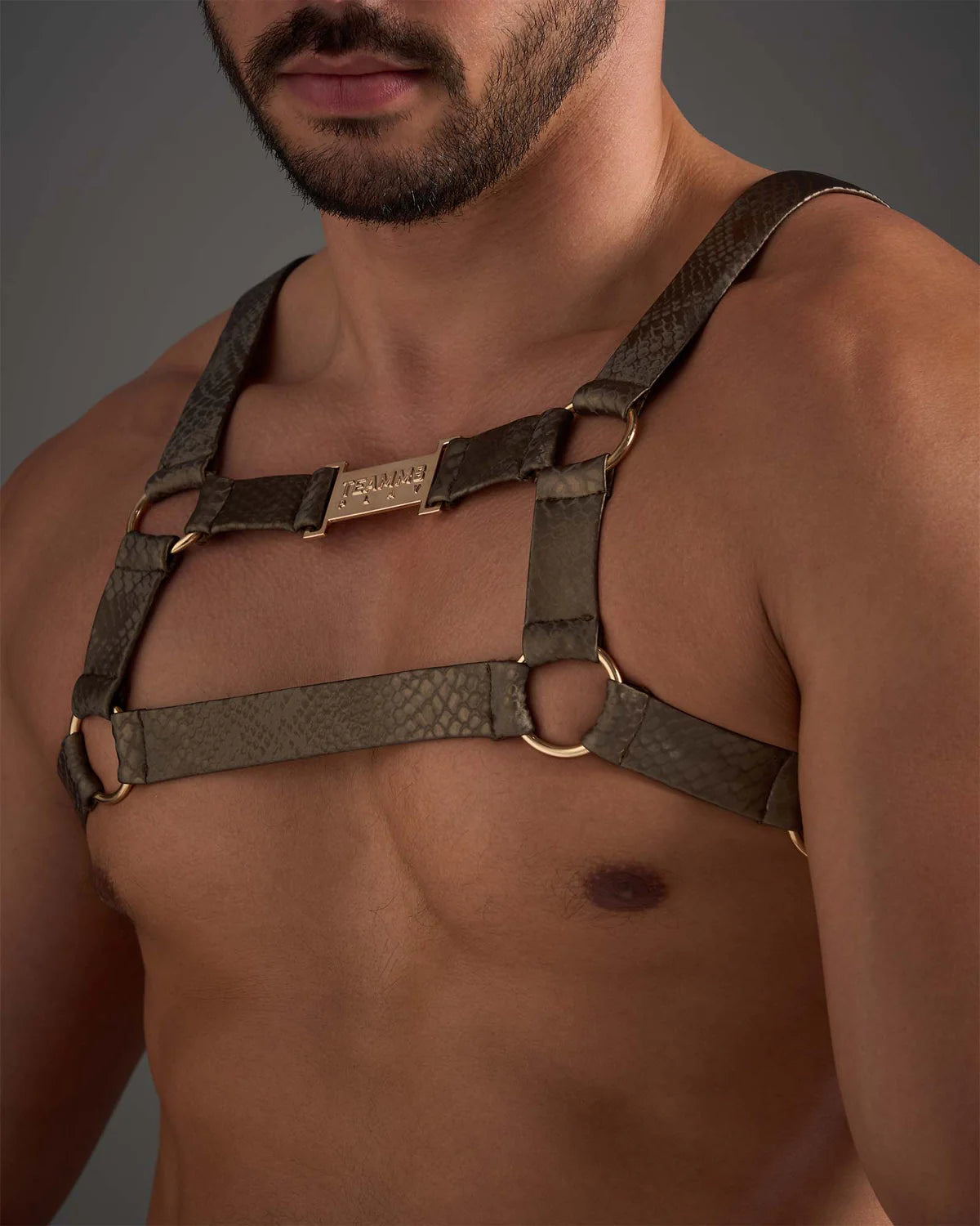 FLEX HARNESS