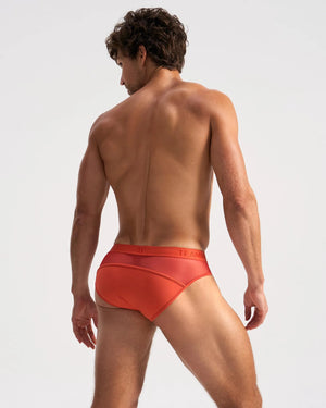 SCORE SHEER BRIEF