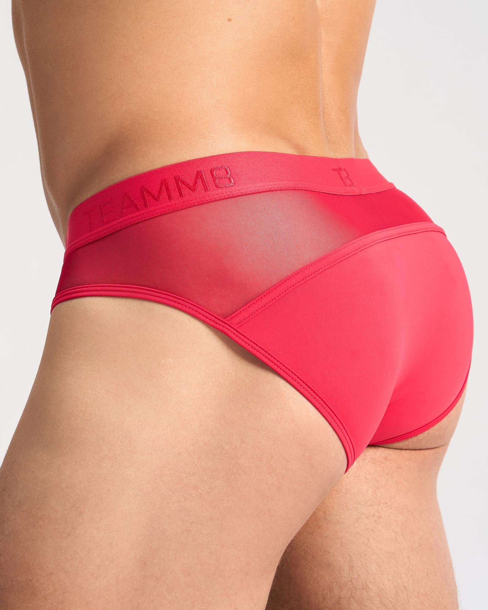 SCORE SHEER BRIEF