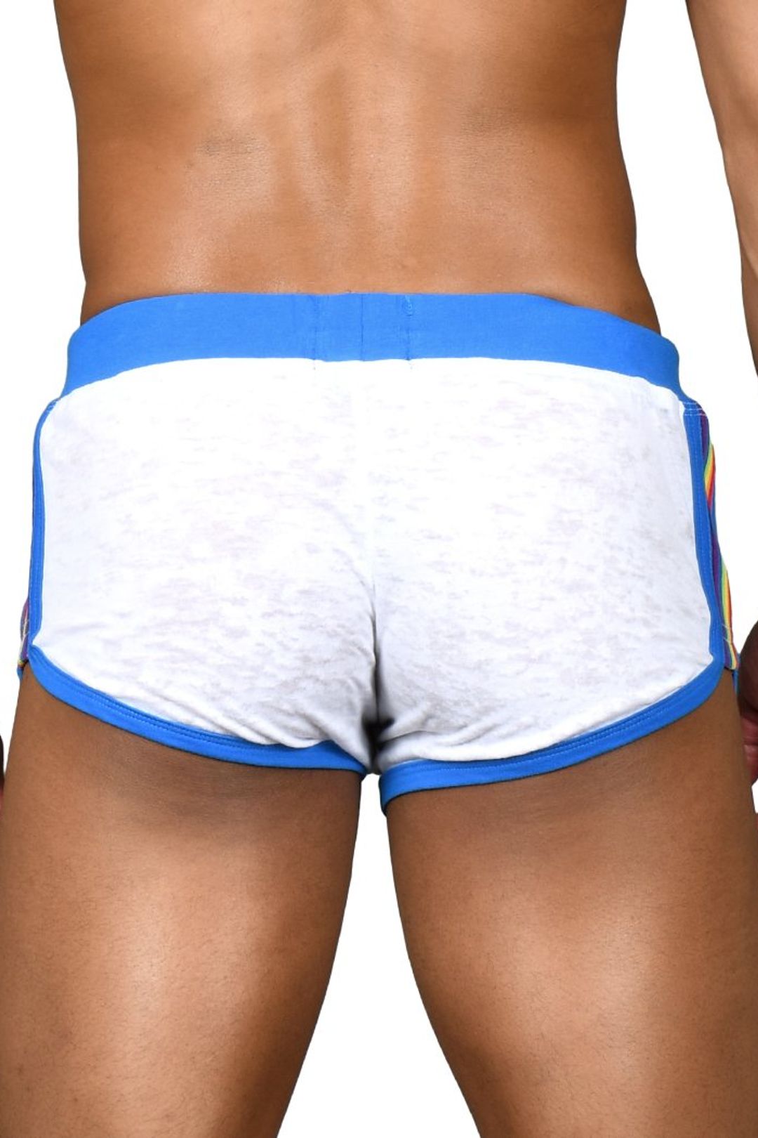 PRIDE BURNOUT SHORT