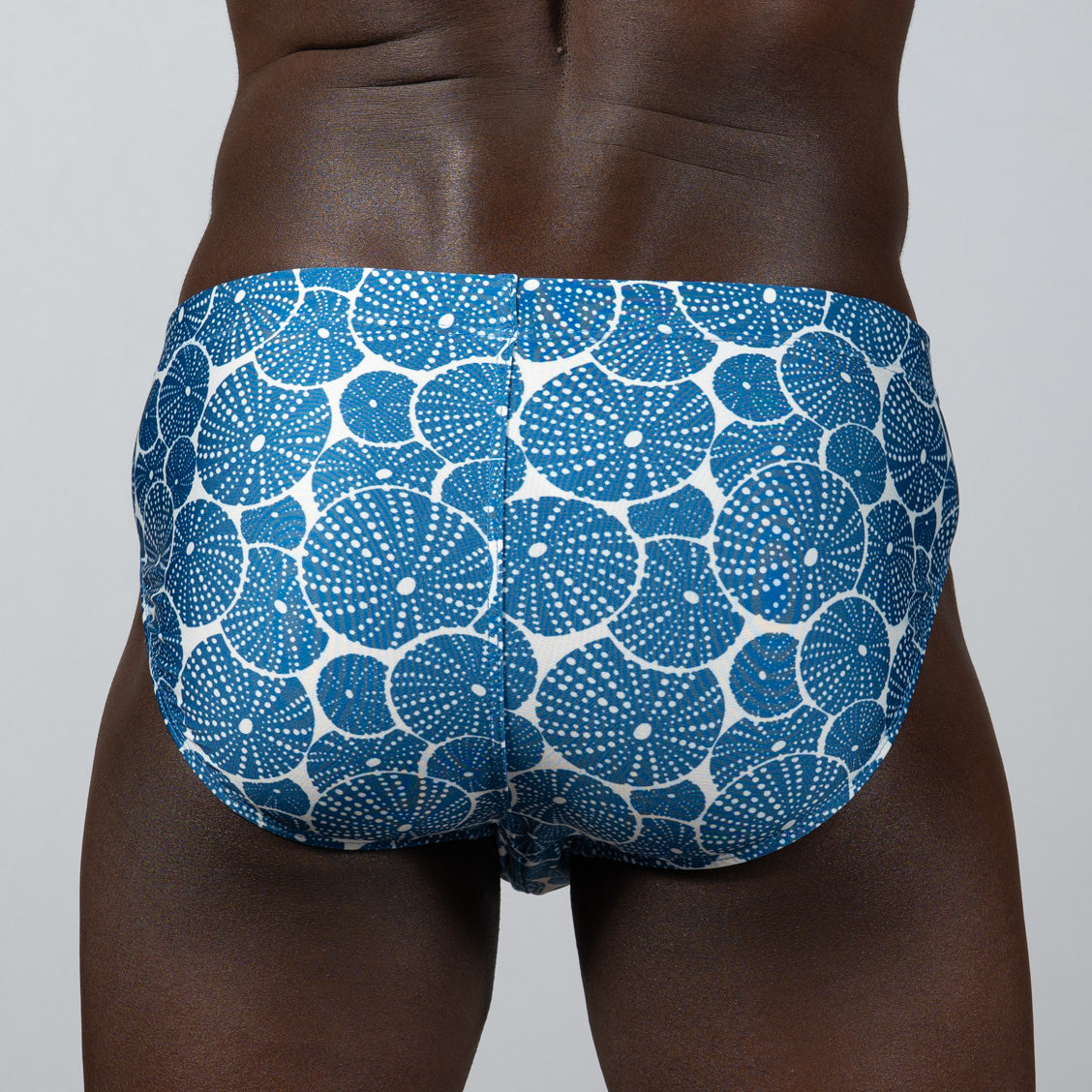 SAND DOLLAR BRIEF