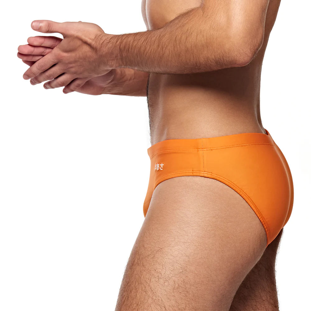 CLASSIC SWIM BRIEF