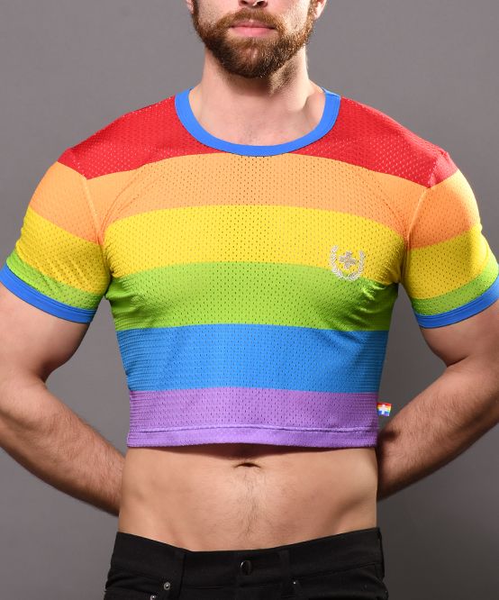 PRIDE STRIPE MESH CROP